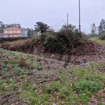 Insolvência José Mário Freitas Sampaio
