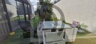 Moradia T4 com Piscina - Ferreira, Paços de Ferreira