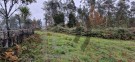 Direito a meação terreno rústico com 4.800m2