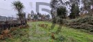 Direito a meação terreno rústico com 4.800m2