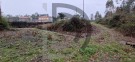Direito a meação terreno rústico com 4.800m2