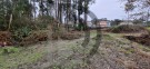 Direito a meação terreno rústico com 4.800m2
