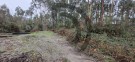 Direito a meação terreno rústico com 4.800m2