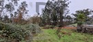 Direito a meação terreno rústico com 4.800m2
