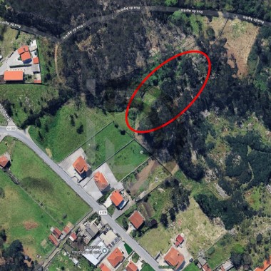 Insolvência José Mário Freitas Sampaio