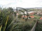 Terreno rústico em Rebordões - Santo Tirso