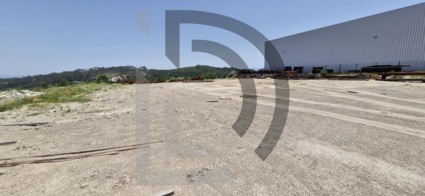 Insolvência Lopes Pereira Antunes, Unipessoal Lda